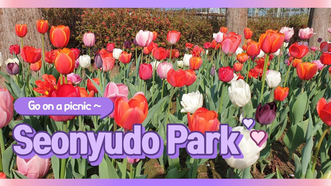 [Day Trip] Seonyudo Park & Mangwondong 선유도 공원 & 망원동