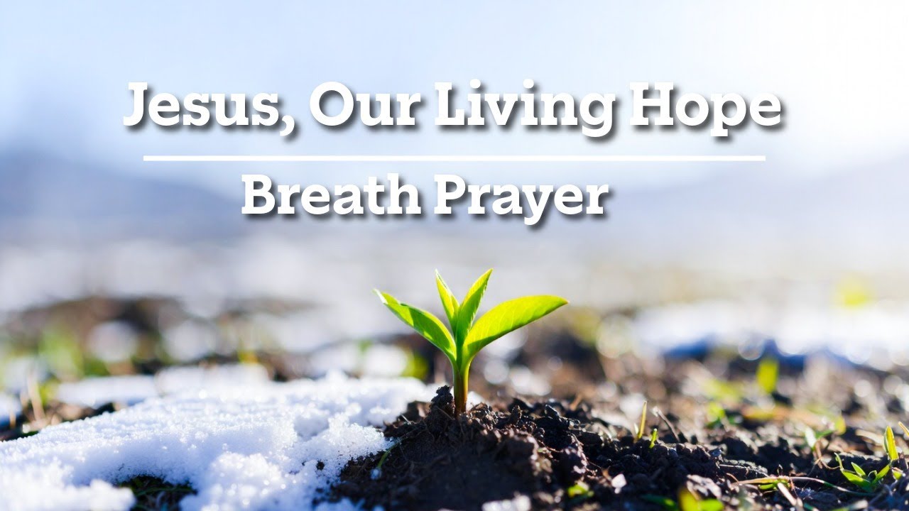 Hope-– Breath Prayer for Quiet Time with God | 30 Min. Instrumental Worship | 감사의 호흡 기도와 조용한 시간