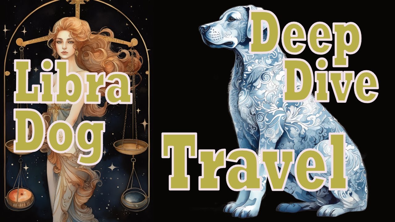 Libra Dog Deep Dive: Ideal Travel Destinations & Environments