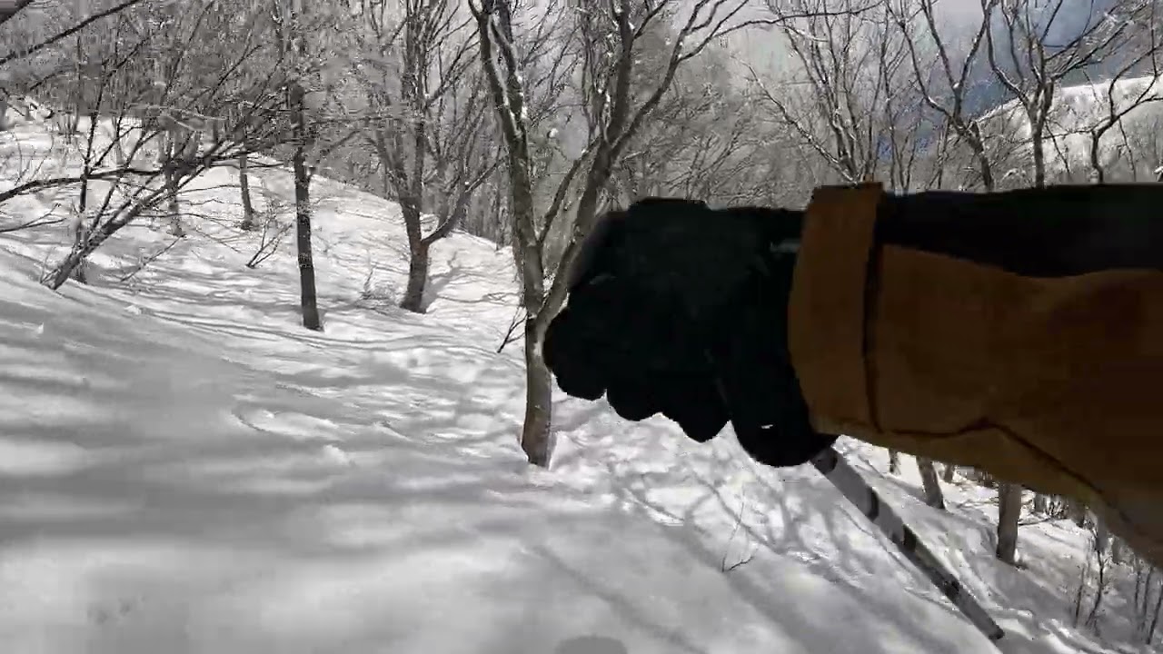 Hakuba Cortina - Tree Run Between Hieda Course 2 and 3 - March 5th, 2026