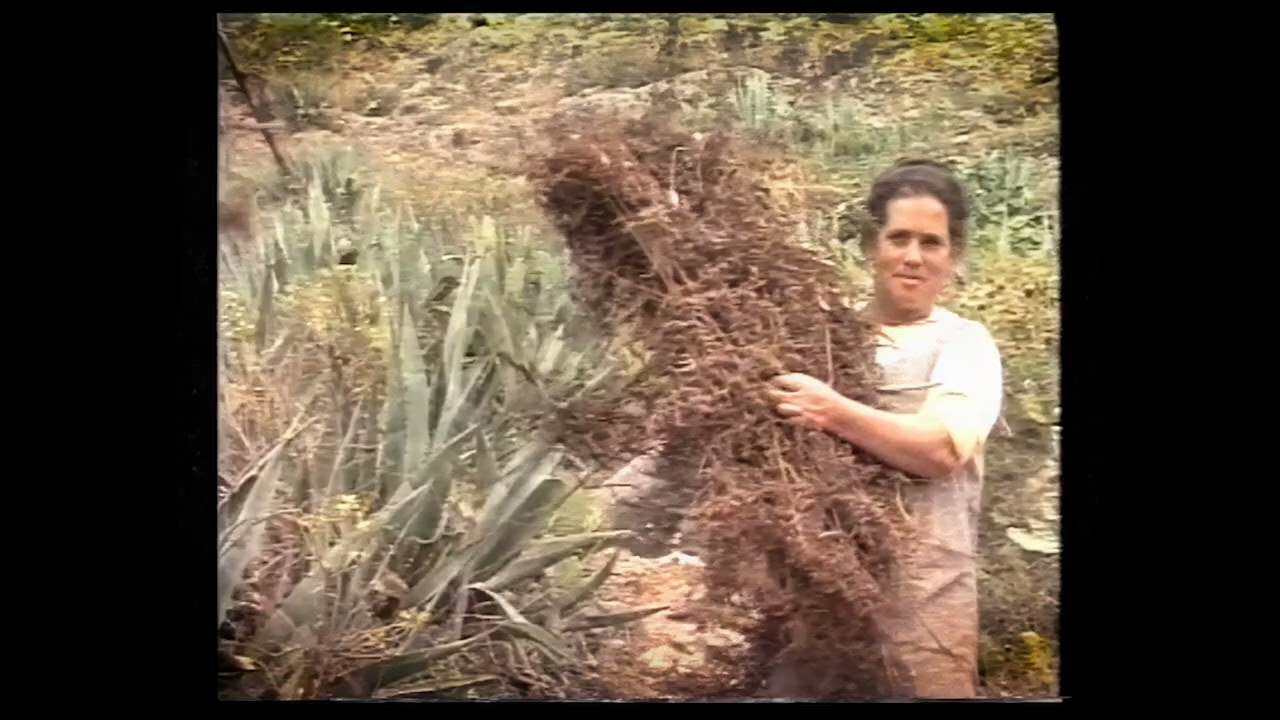 'Balada de la Cueva'