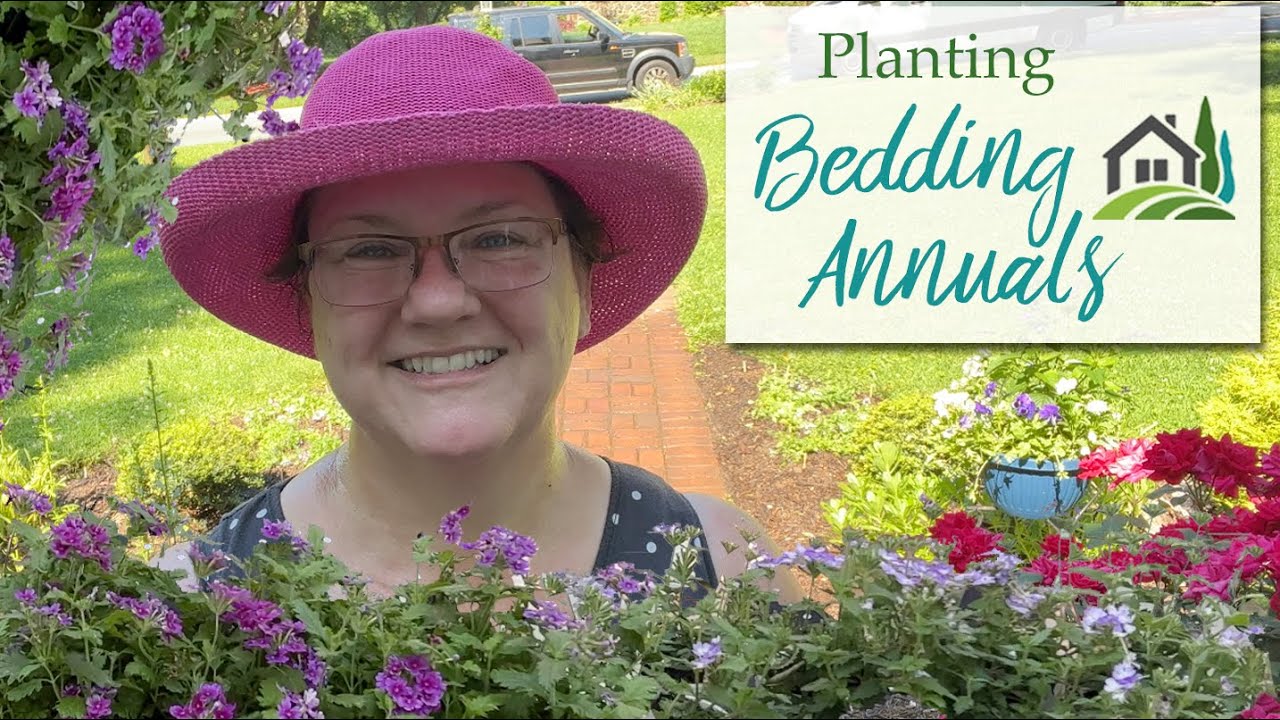Planting Bedding Annuals - Superbena® and Upright® Verbena - 🌺🌸🌺