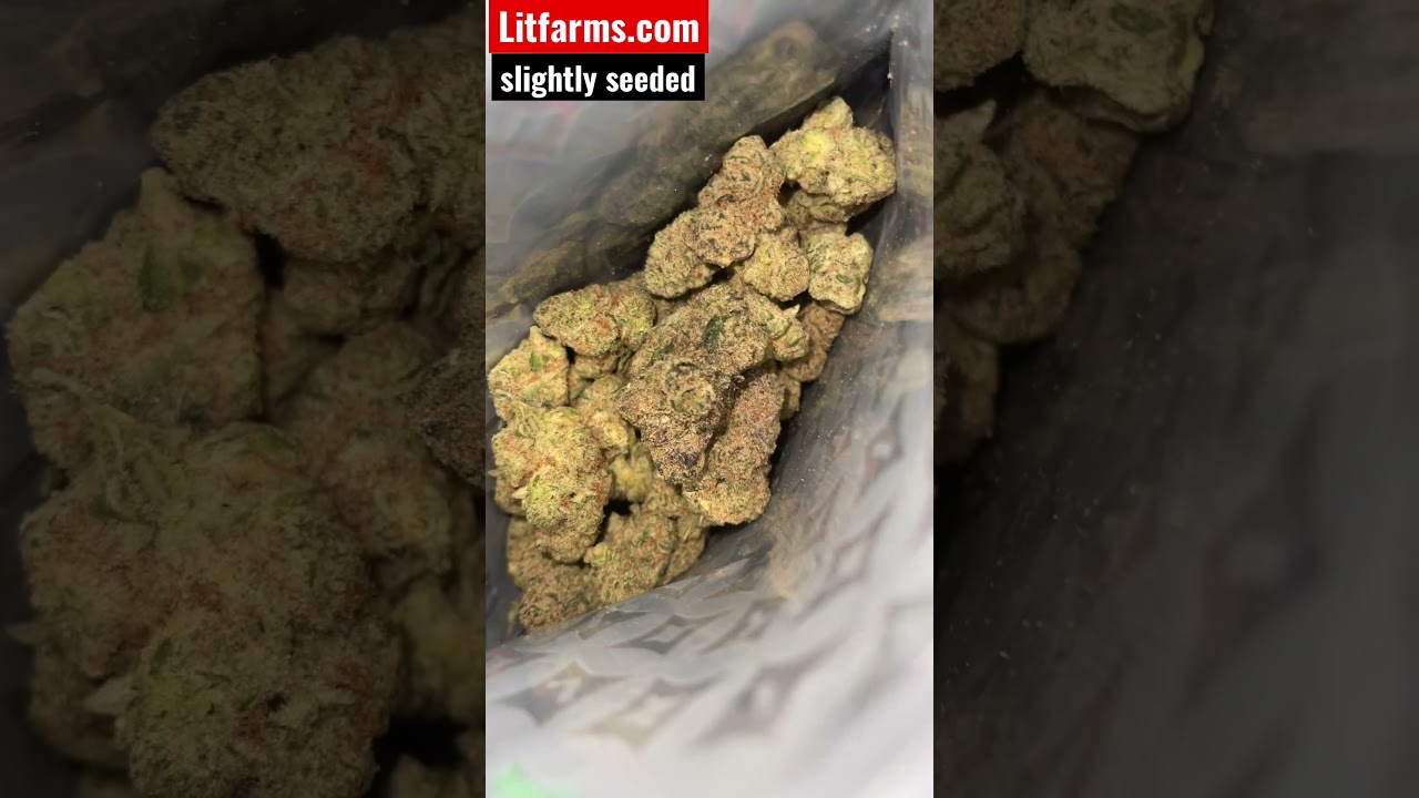 Sugar Tab from LitFarms (SEEDED) Review #thcareview #trendingshorts #supreme #thca