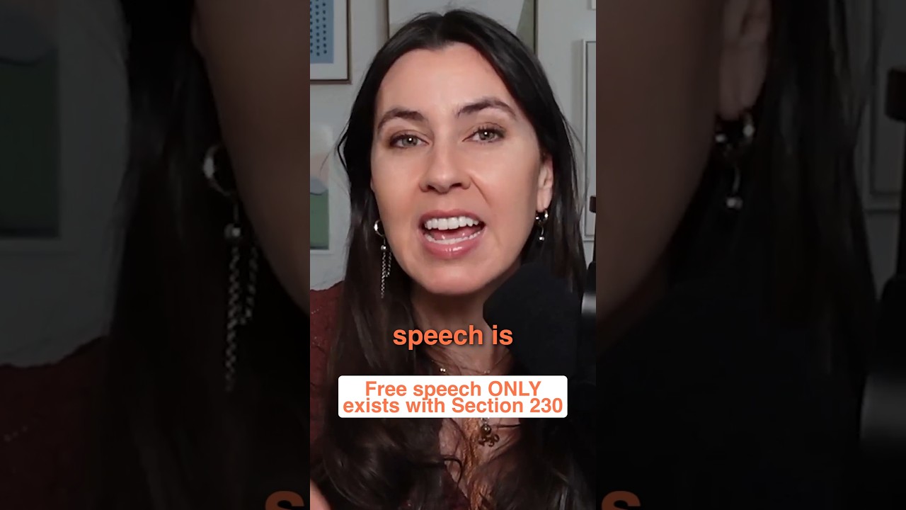 Free Speech Online Only Exists With Section 230 #taylorlorenz #internet #tech #unitedstates