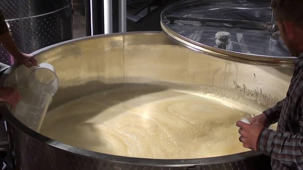 9.30.16 Dablon Vineyards 2016 Seyval Blanc Fermentation