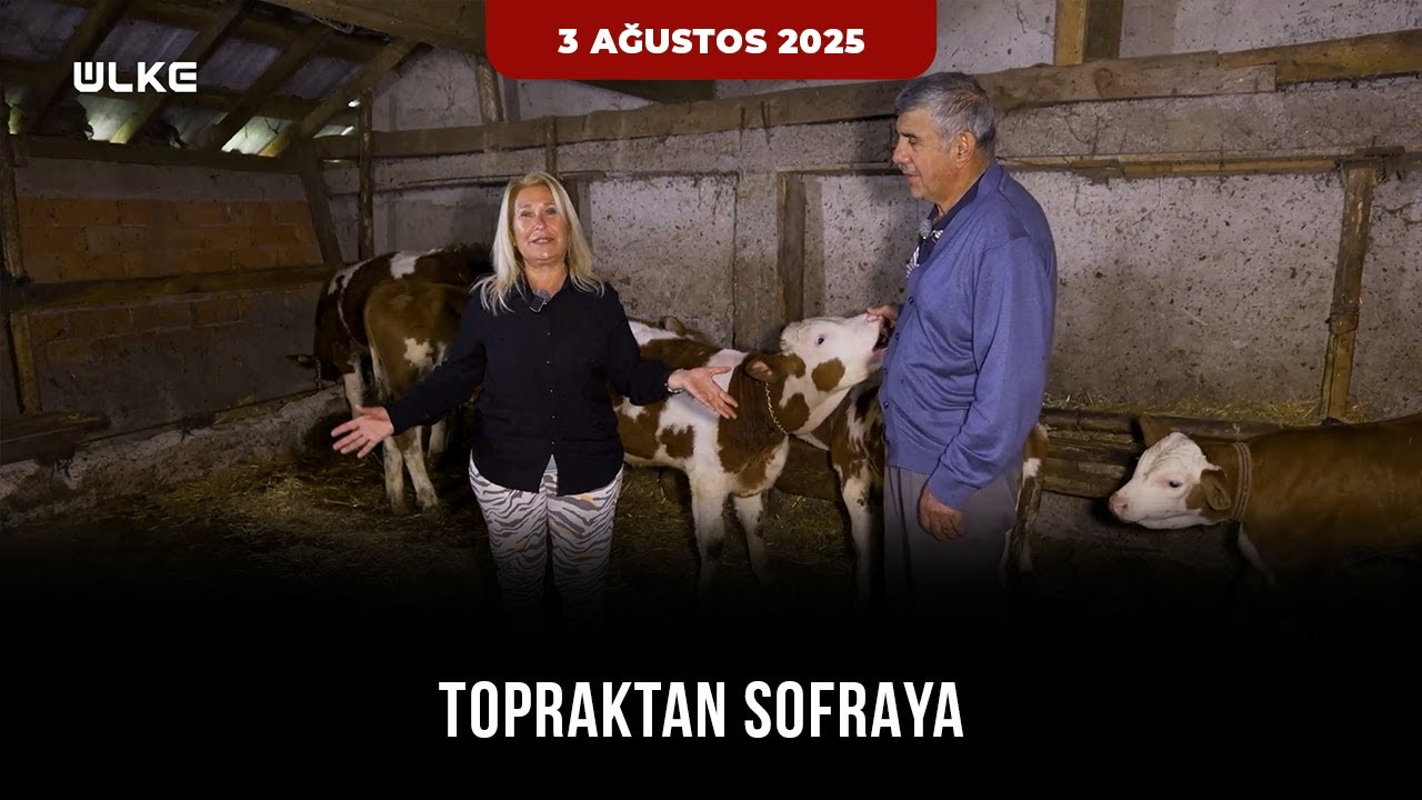 Topraktan Sofraya - Bolu - Çepni Yaylası | 3 Ağustos 2025