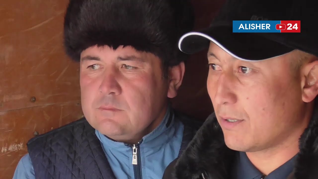 Jizzax Baxmal Oʻsmat Nodir rassiyaning koʻpkarisi 2025.11.10