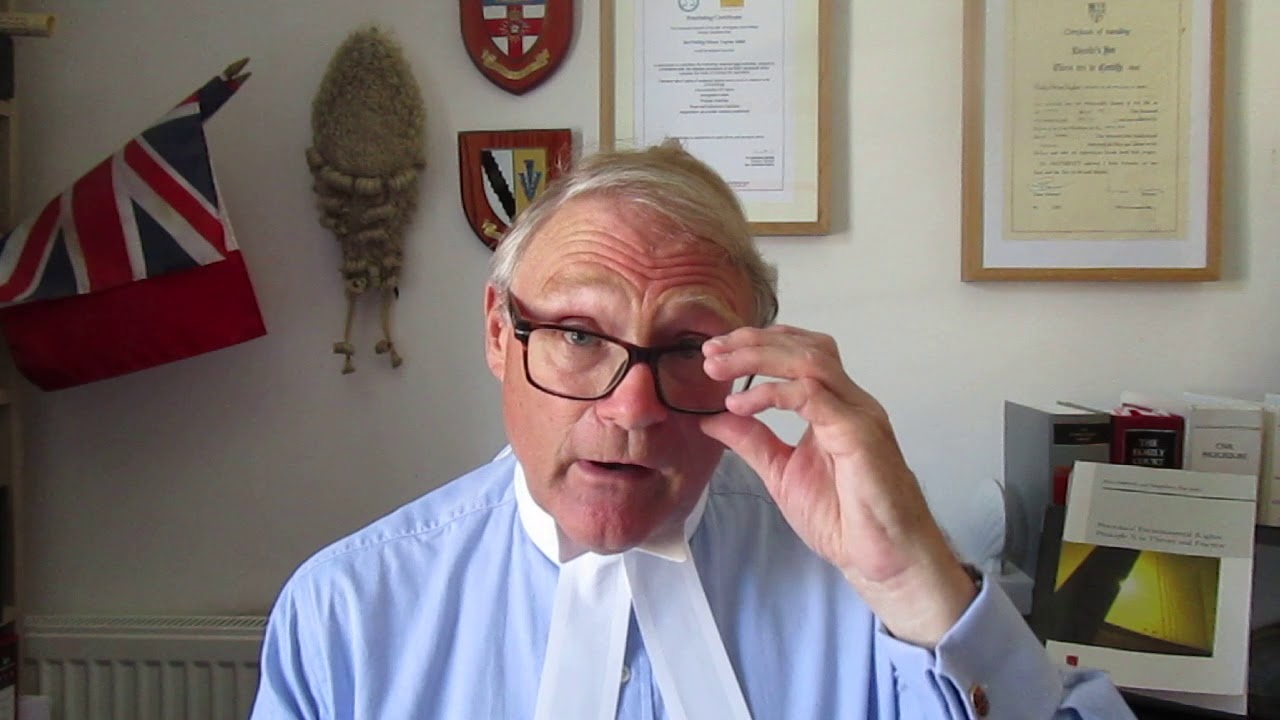 Phillip Taylor MBE review. Procedural Environmental Rights  Principle X in Theory & Practice