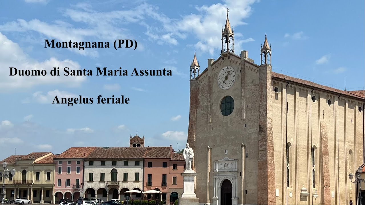 Campane del Duomo di Santa Maria Assunta in Montagnana (PD), v.556