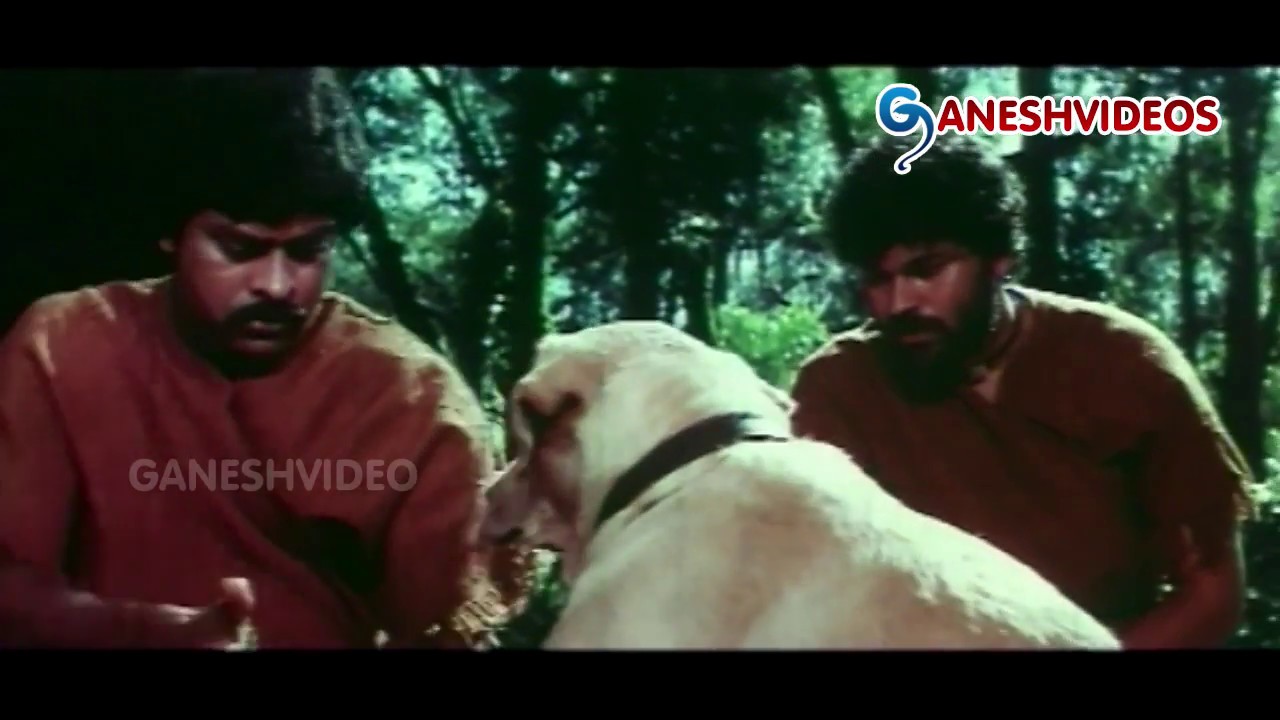 Rakshasudu Movie Parts 6/10 ||Chiranjeevi, Radha, Suhasini || - Ganesh Videos
