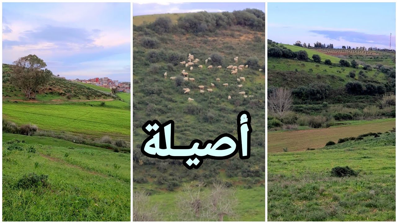 فسحة في طبيعة مدينة أصيلة الخضراء ، رمضان كريم 🌙