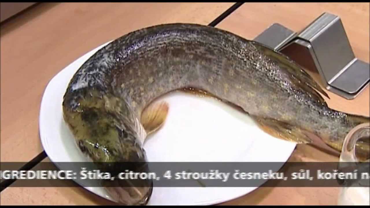 Kuchařský recept Štika na stojáka   www.telereceptar.cz