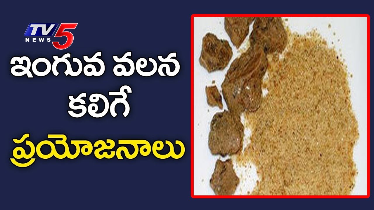 Benefits & Medicinal Uses Of Asafoetida (INGUVA) | Veda Vaidhyam #8 | TV5 News