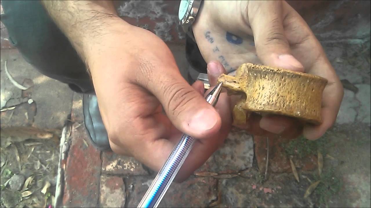 Lumbar Vertebra