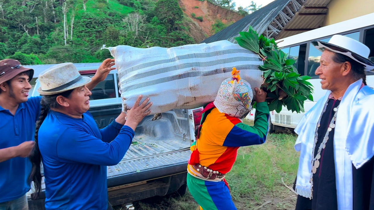 Cosechando las mejores YUCAS para compartir en las Fiestas de NAVIDAD | Don Valentin