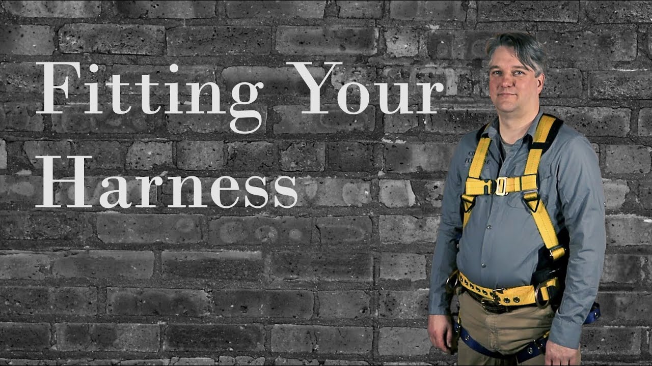 Fitting Your Harness