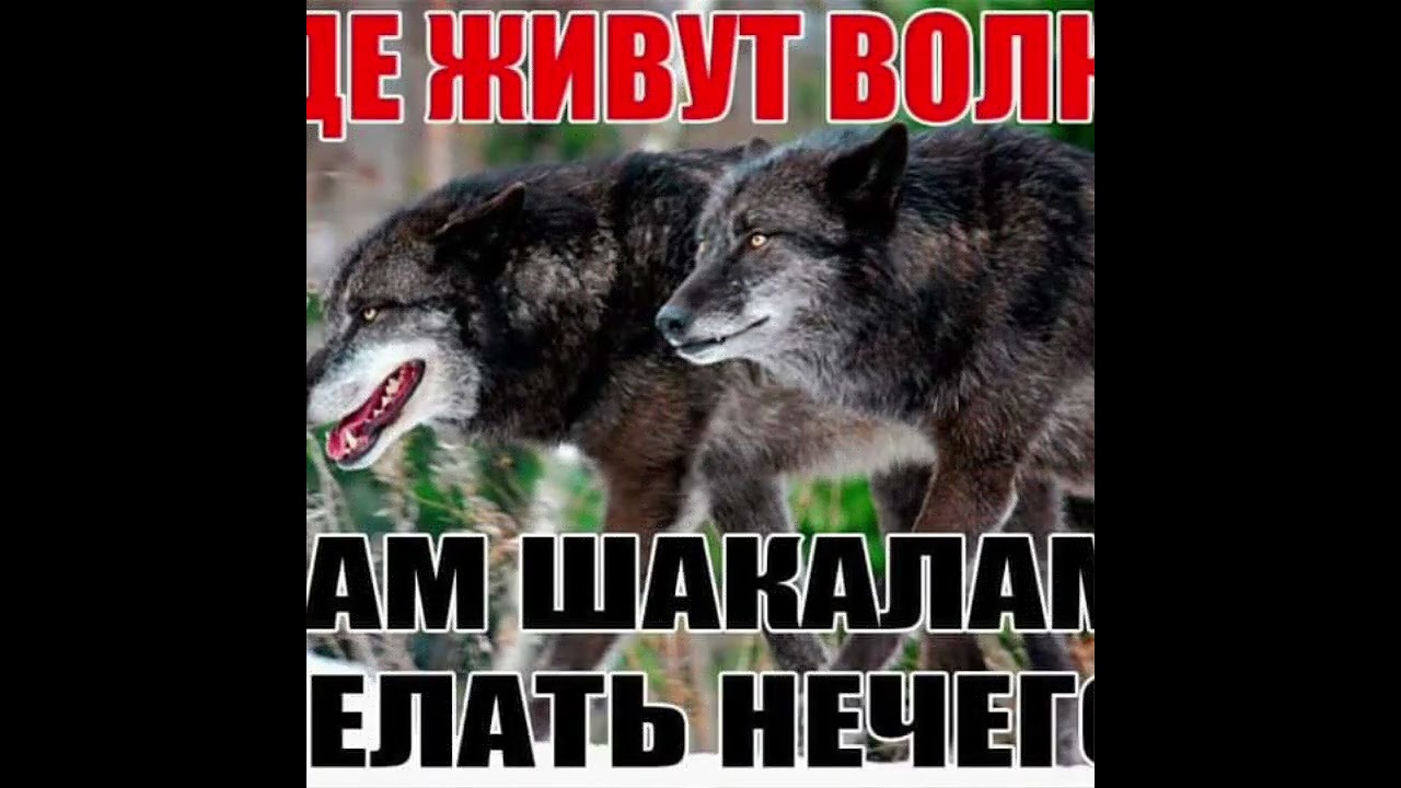 Я страж, сл.@Ю.Колчак, ИИ.