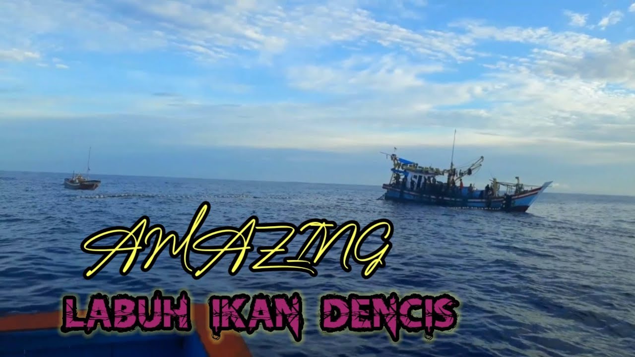 labuh ikan dencis di lautan lepas