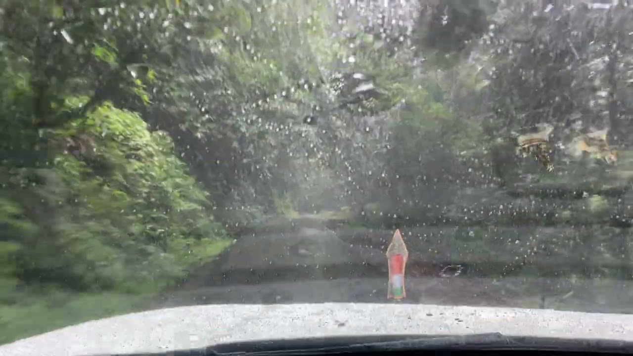 Athirappilly forest road 