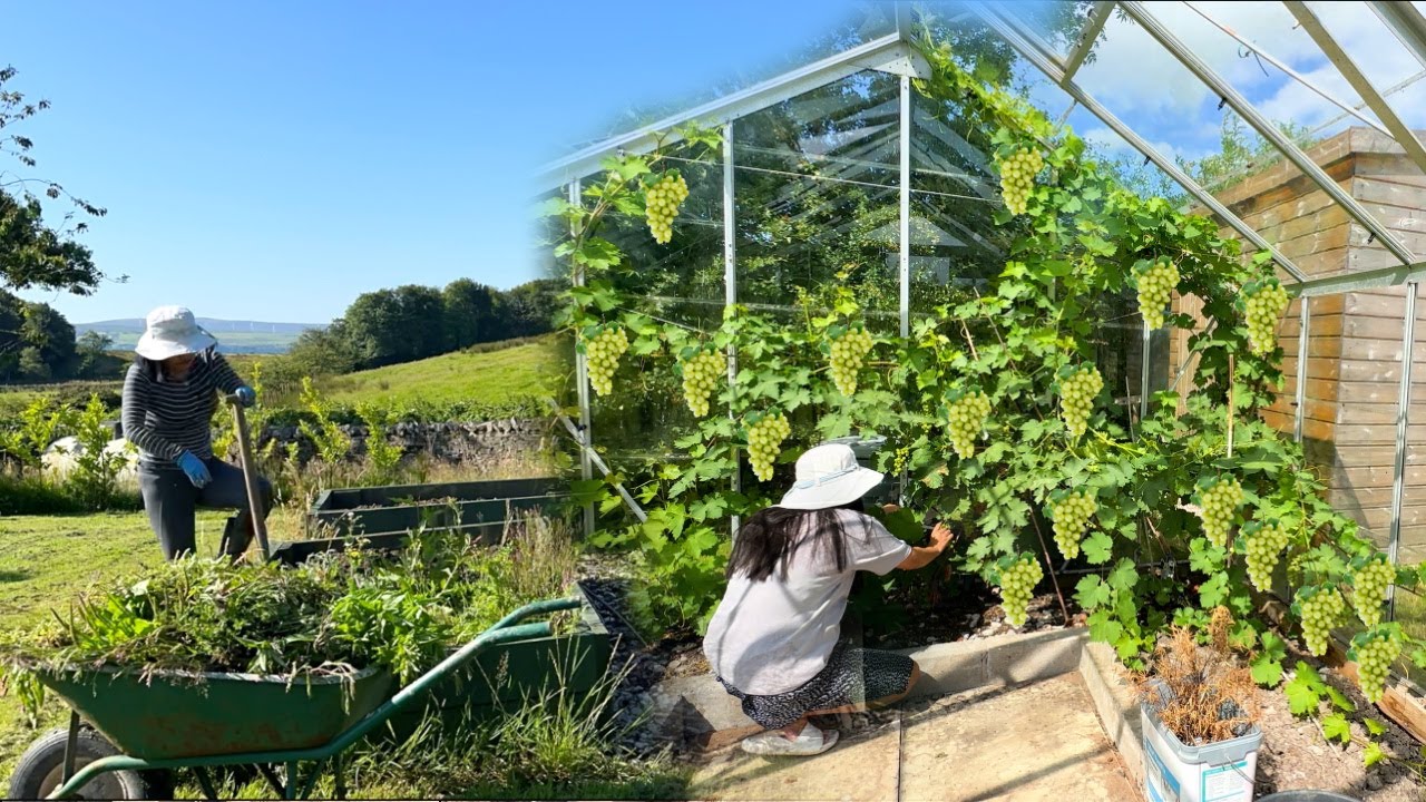 FILIPINA BRITISH LIFE IN UK: ABALA TRABAHONG BUKID