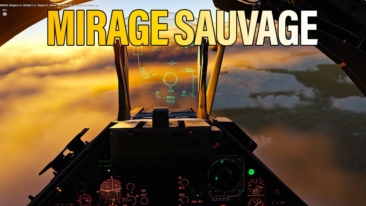 Mirage 2000C Sauvage en PvP - DCS WORLD