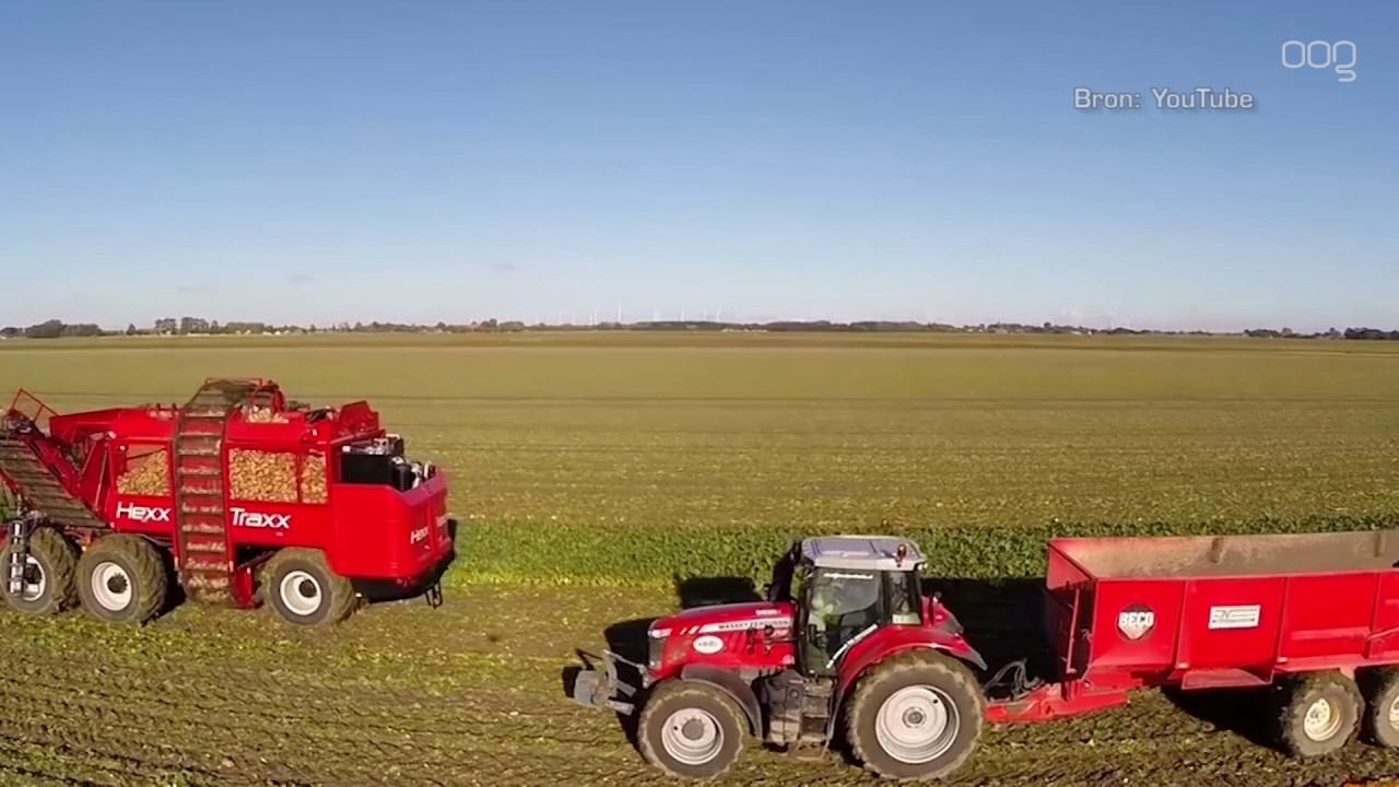 Bietenproductie SuikerUnie Hoogkerk gaat fors omhoog