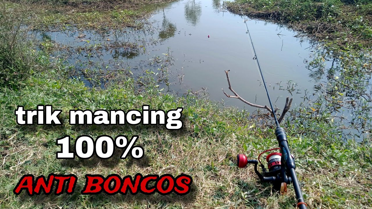 Trik Mancing Ampuh dengan Pancing Jaring