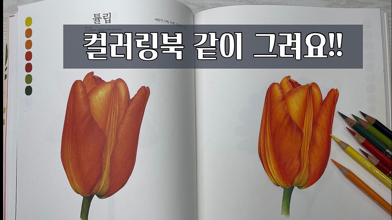 색연필 보태니컬아트/컬러링북 같이 그려요!/보태니컬 아티스트의 첫 컬러링북 도전~/나의 꽃그림 색연필 컬러링북