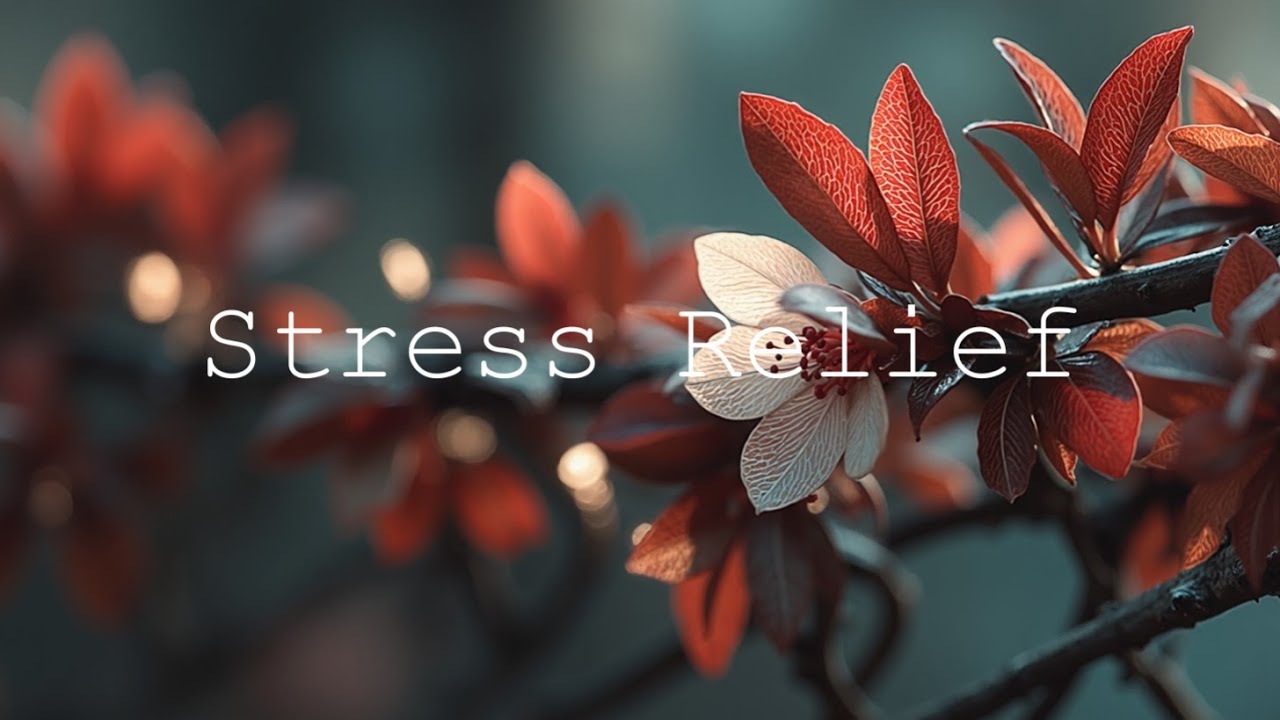 Piano Healing Music | Мелодии Глубокой Релаксации и Успокаивающего Сна для Снятия Стресса