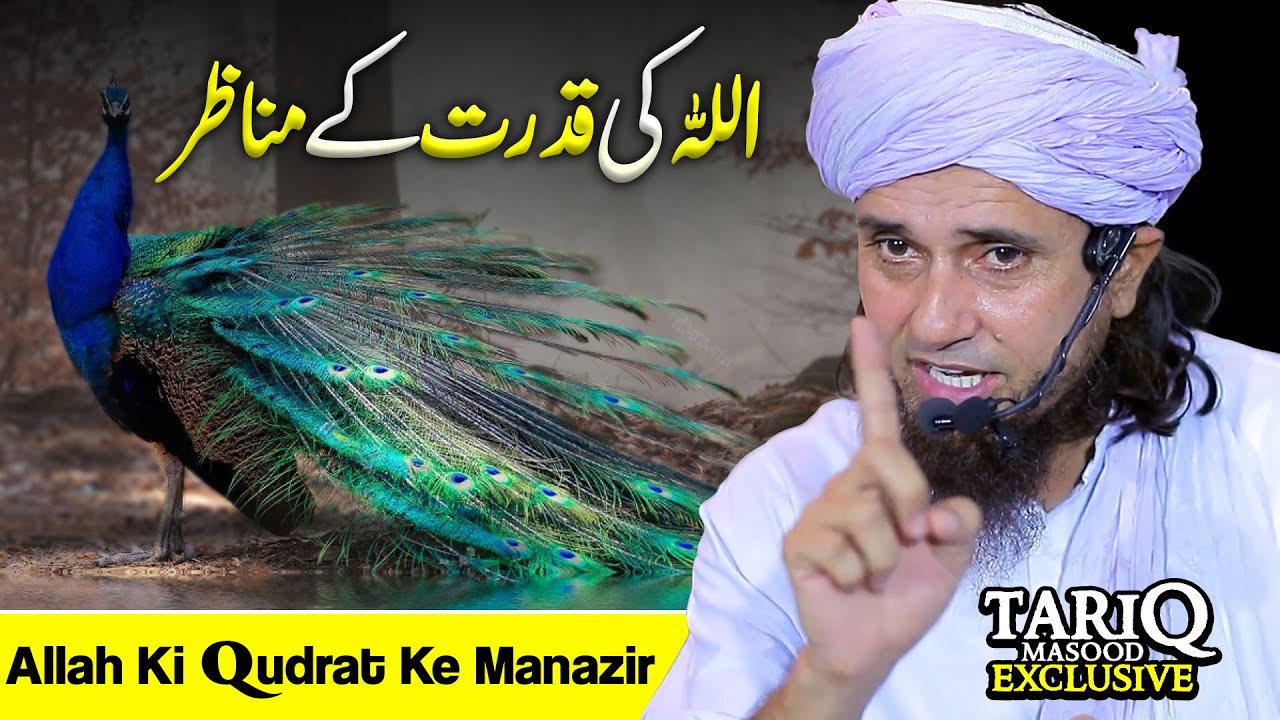 ALLAH Ki Qudrat Ke Manazir | Mufti Tariq Masood