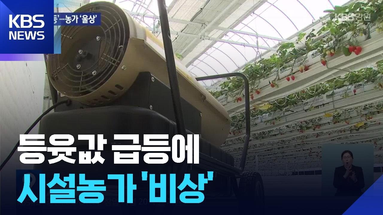 등윳값 급등에 시설농가 '비상' / KBS  2026.03.09.