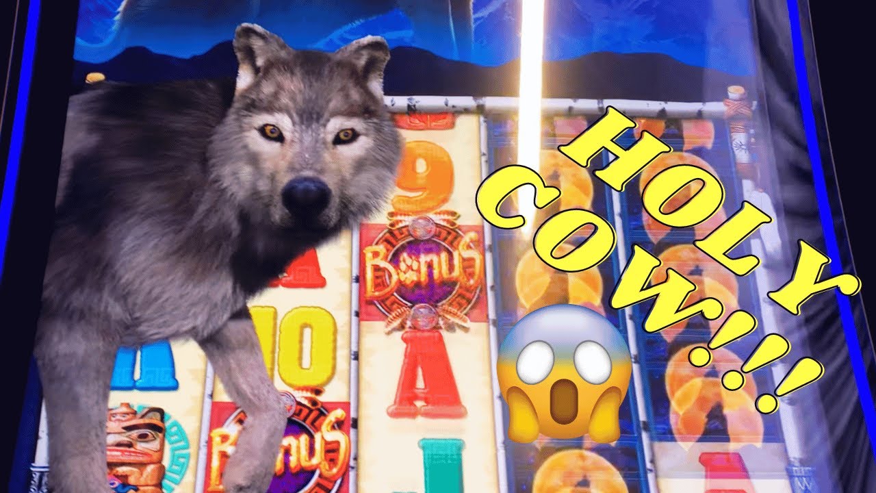 🤑BONUSES KEPT COMING on WOLF RUN GOLD!! #slots #subscribe #bonus #morongo #casino