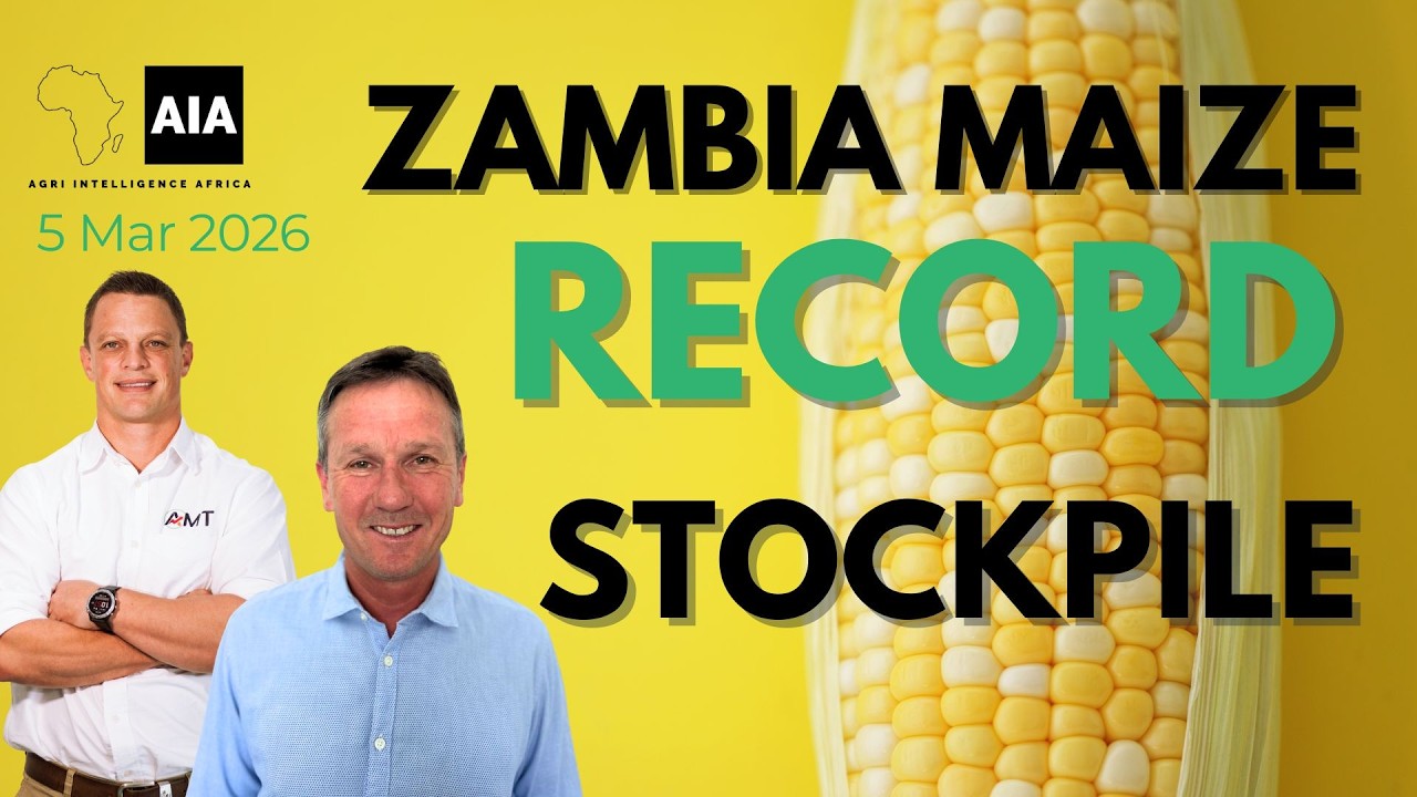 🌽 Zambia Maize – Record Stockpile | 5 March 2026