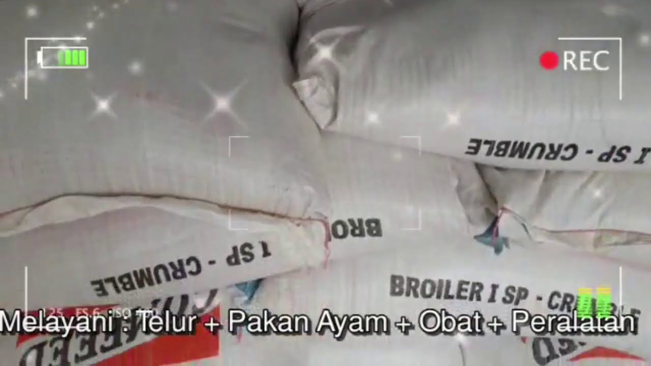 Pakan Ayam COMFEED BR 1 SP | HOKAMU |