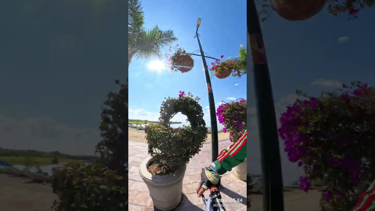 Malec&oacute;n de Chapala 🌮