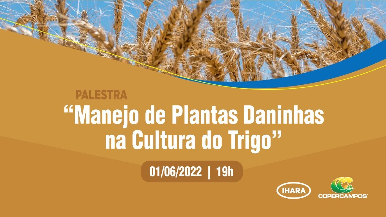 Palestra Manejo de Plantas Daninhas na Cultura do Trigo