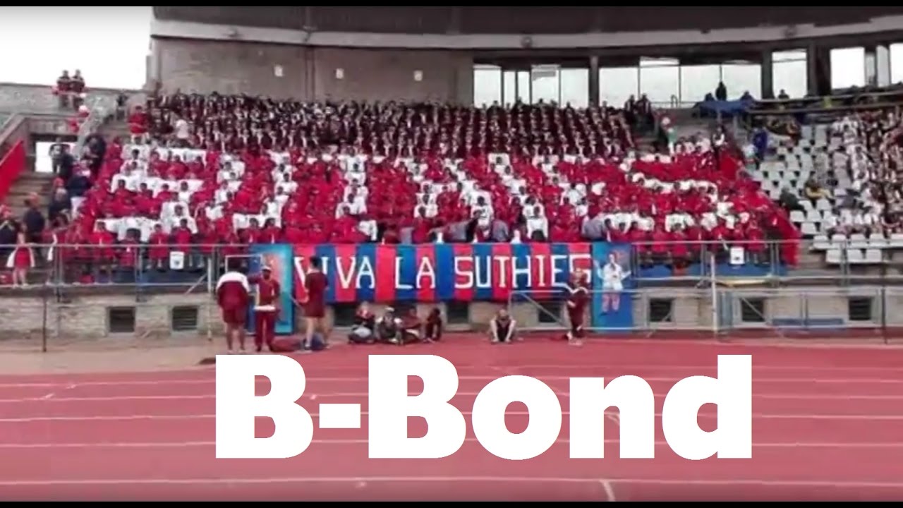 Suthies B-Bond 2017
