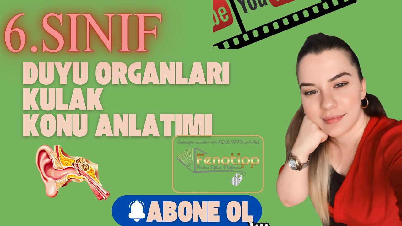 6.sınıf | Fen Bilimleri | Kulak Konu anlatımı