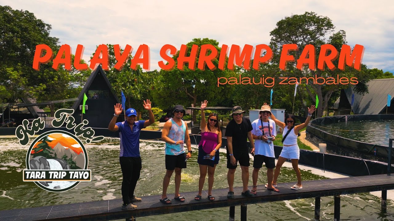 palaya shrimp farm