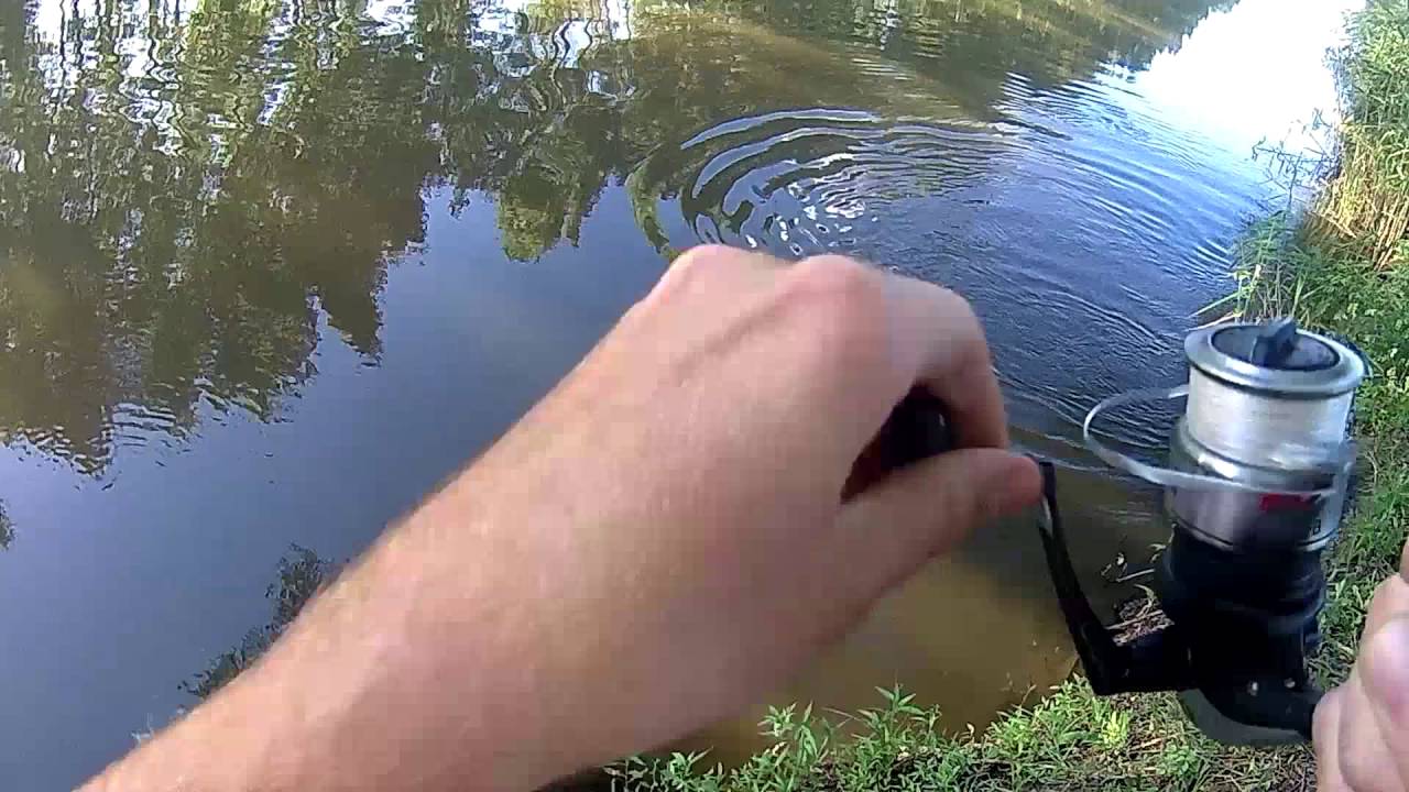 S&uuml;llő perget&eacute;s - hős&eacute;gben (zander spinning) - fullHD - 1080p