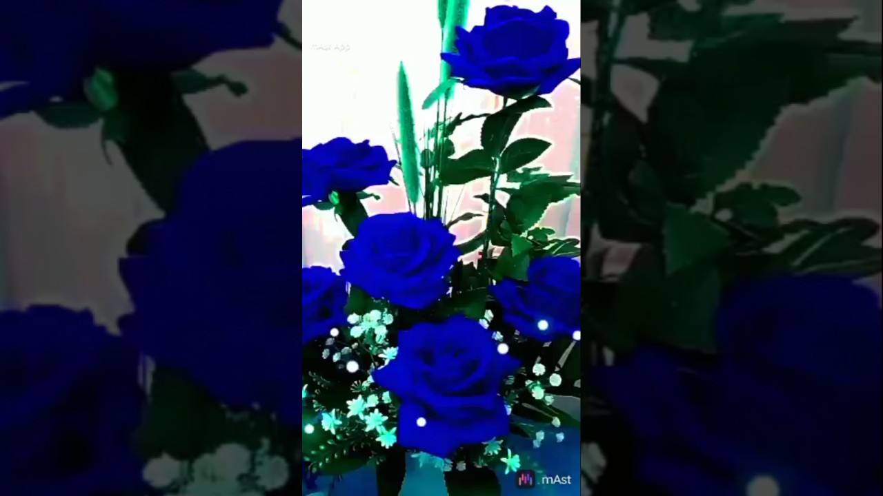 😇Good morning 🥰