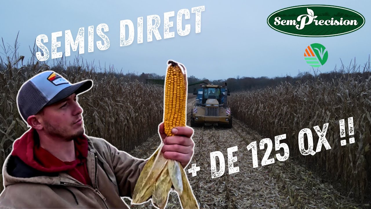 Réussir ses Maïs en Semis Direct avec SemPrecision !!