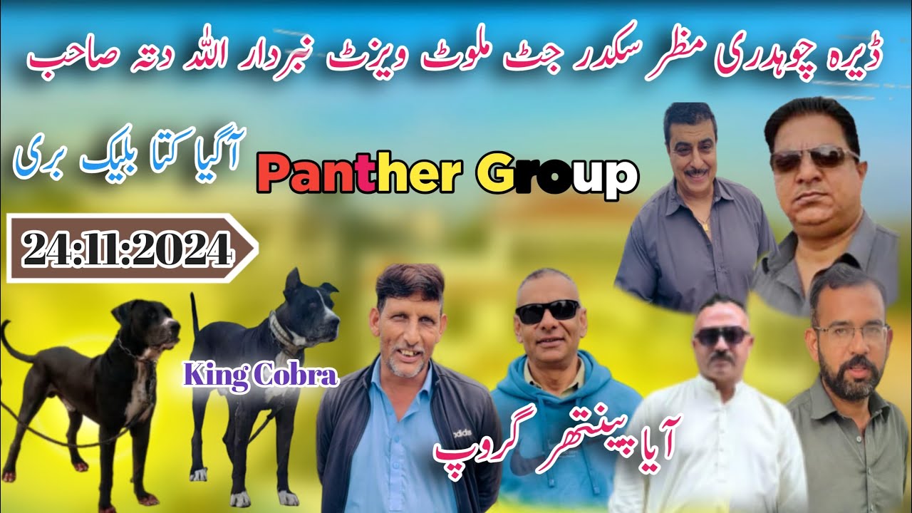 Aya Panther Group Sadar NumberDar Allah Dita sab :Faizan official Faizan Fazi