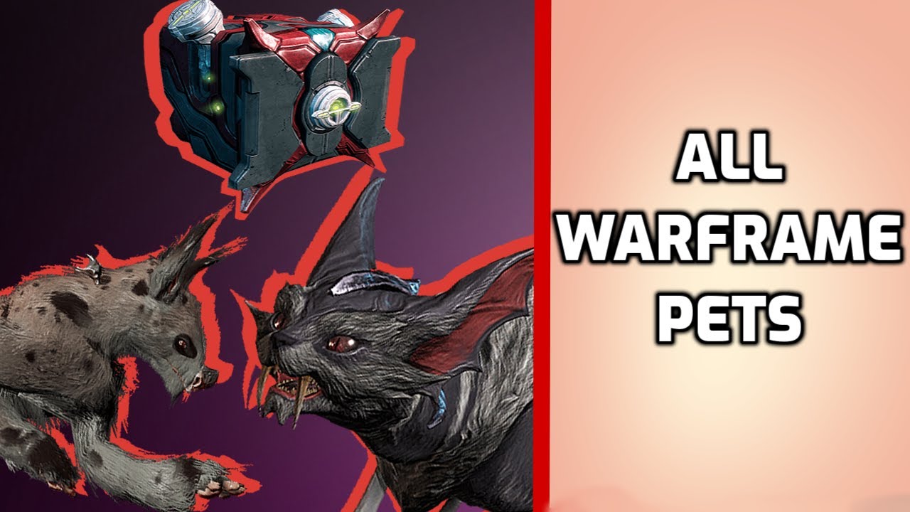 Ultimate Warframe Companions guide (2020)