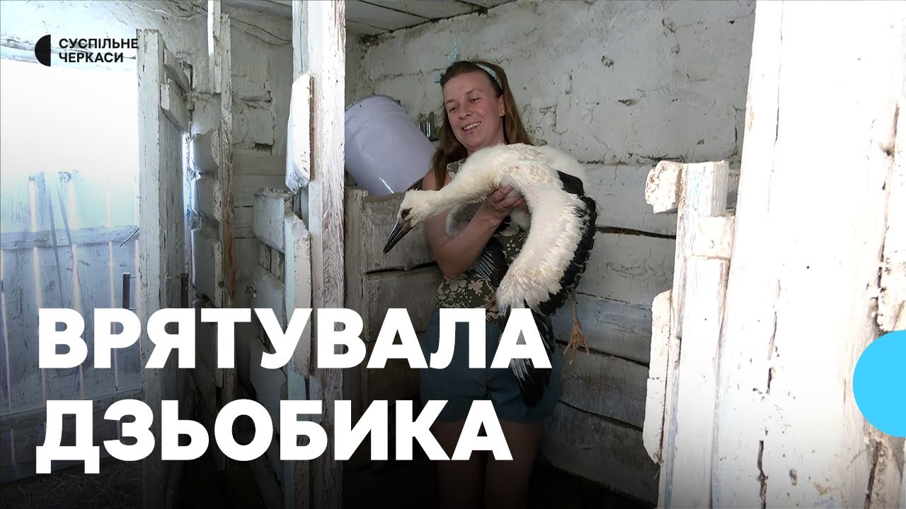 Мріє, щоб полетів в Африку: жителька Білозірʼя у власному сараї прихистила лелеченя