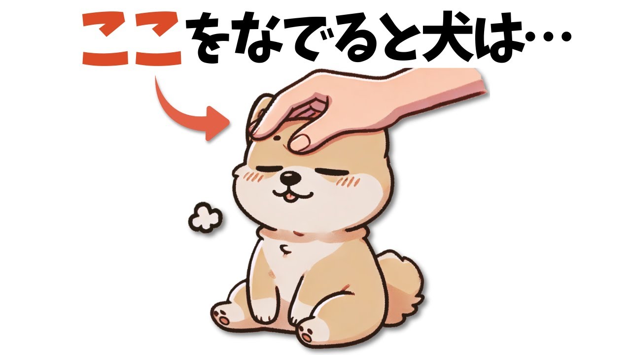 犬が『そこ気持ちいい♥』って思ってる意外すぎる5つの場所