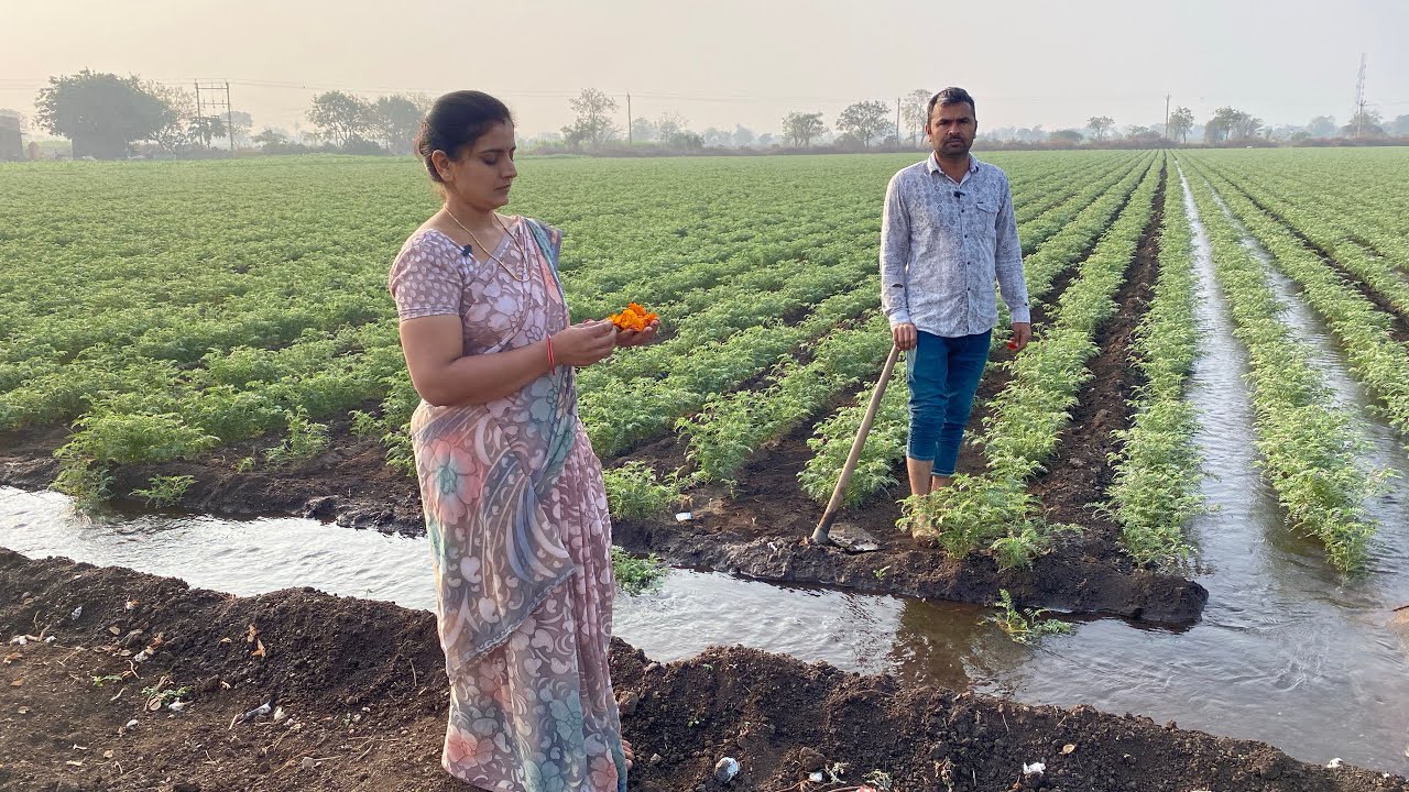 આપણે કુવામા પાણી ખુટીયુ ચણા કેટલા દીવસે પીવે
