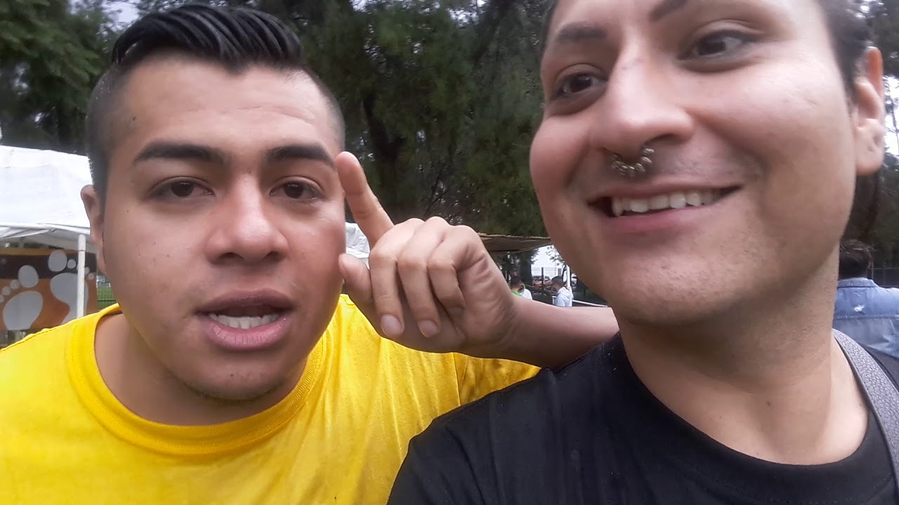 LUCHADORES vs COMEDIANTES | MAMBA, LADY SHANI, LA HIEDRA, CHAFAS CADENA
