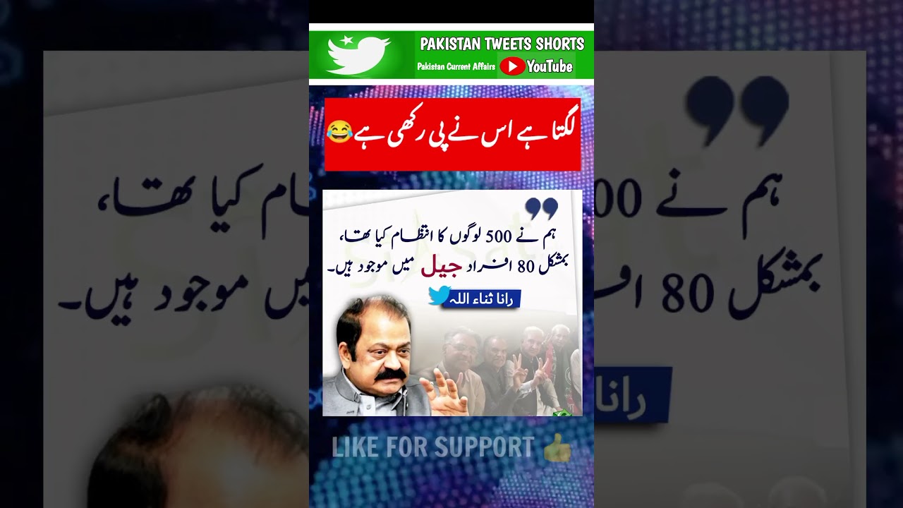 Rana Sana ullah Tweets 🇵🇰🔥 #shortfeed #imrankhan #behindyouskipper