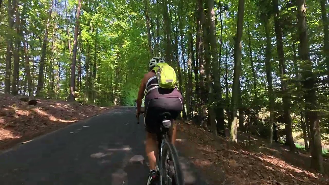 Tag 5   Weinland Tour Stmk. 2025